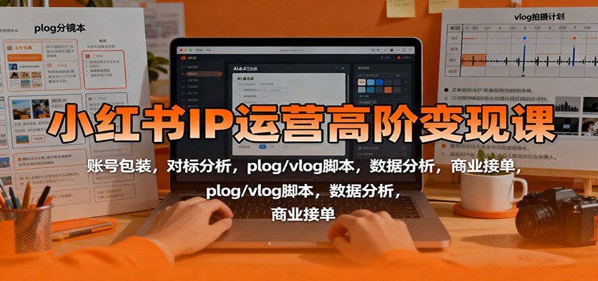 小红书IP运营高阶变现课：账号包装，对标分析，plog/vlog脚本，数据分析，商业接单-阿鹏创业资源网