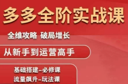 大炮·拼多多全阶实战课程(更新10月)-阿鹏创业资源网