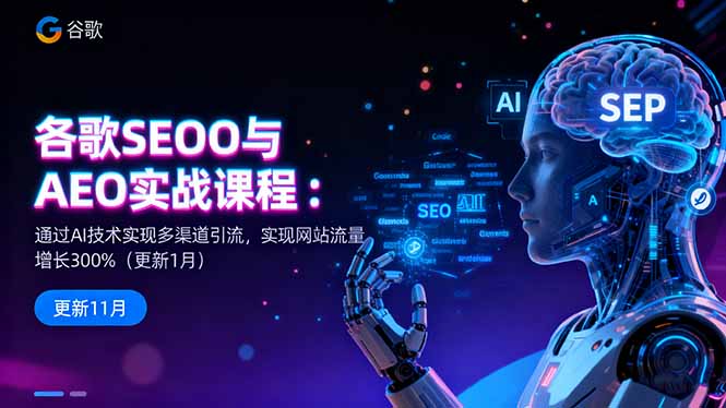 谷歌SEO与AEO实战课程：通过AI技术实现多渠道引流，实现网站流量增长300%-阿鹏创业资源网