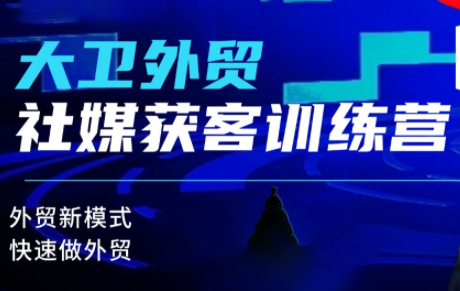 大卫老师·外贸社媒获客独家训练营(更新)-阿鹏创业资源网