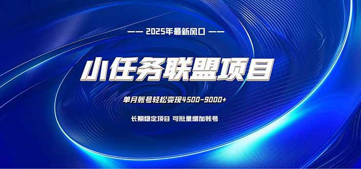 小任务联盟项目：一台电脑每天只需10分钟，轻松简单稳定-阿鹏创业资源网