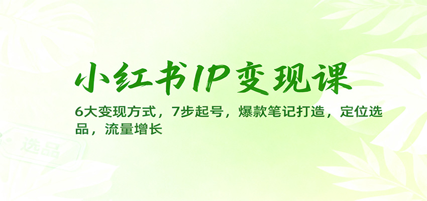 小红书IP变现课：6大变现方式，7步起号，爆款笔记打造，定位选品，流量增长-阿鹏创业资源网